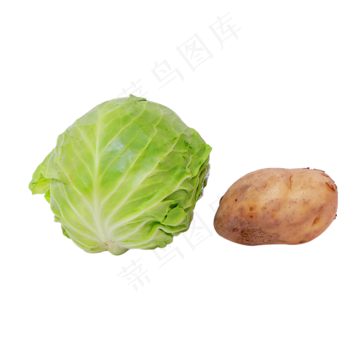 蔬菜绿色卷心菜