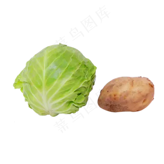 蔬菜绿色卷心菜