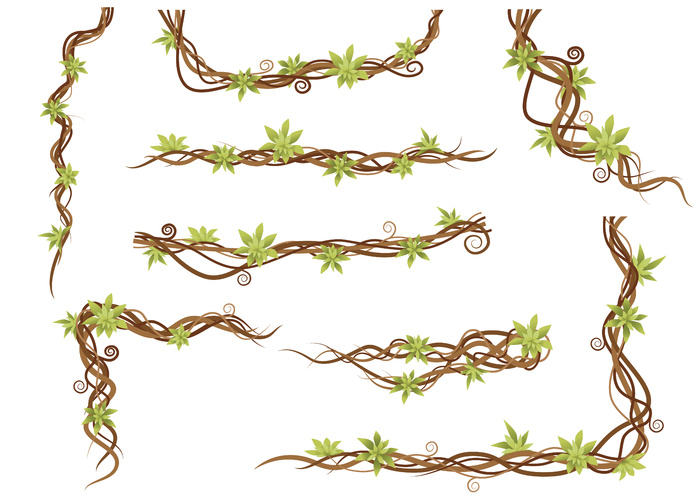 藤本植物设置绿色野生藤本植物分支平面矢量图在白色背景下隔离。