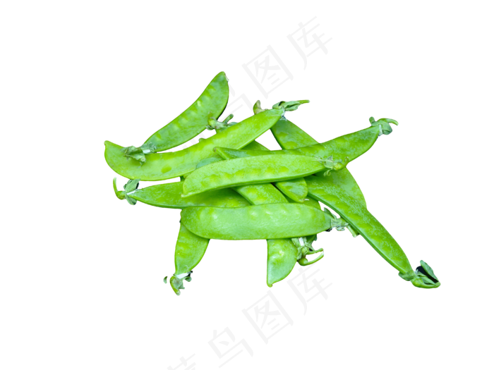 绿色豆角新鲜蔬菜(1024X1536(DPI:150))