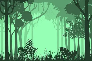 轮廓森林背景
