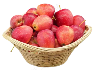 编织果盘鸡心果