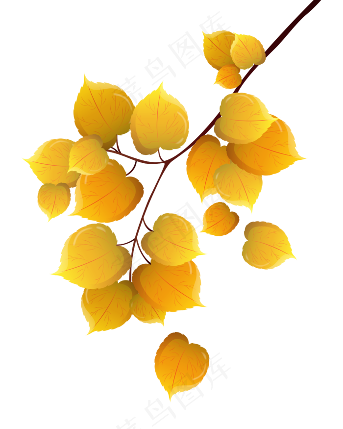 黄色的树叶