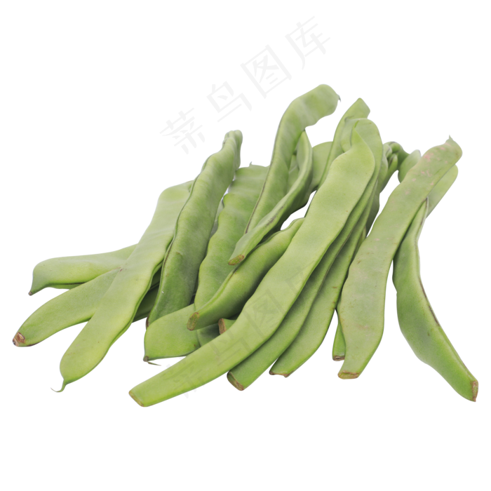 绿色四季豆