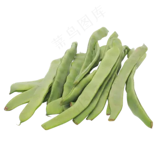 绿色四季豆