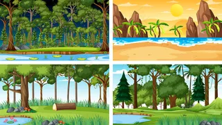 四种不同性质的横向场景