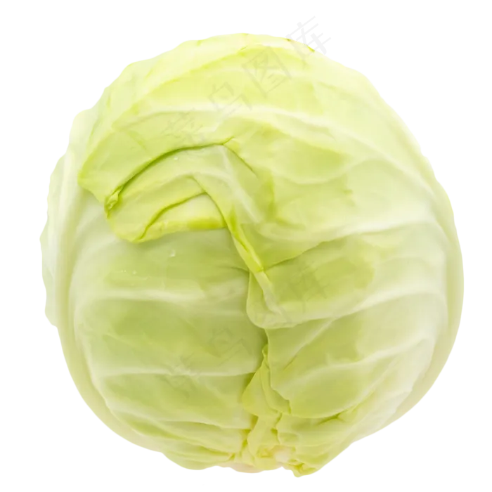 蔬菜包菜(2000*2000px 300 dpi )
