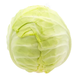 蔬菜包菜 蔬菜包菜