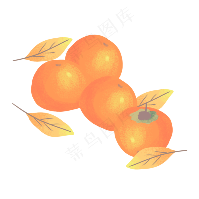 橙色秋季果实(2000X2000)