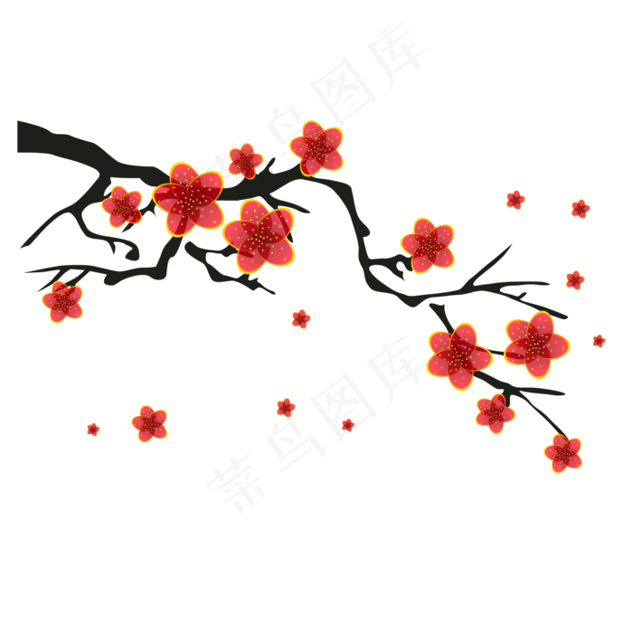 冬天红色梅花腊梅