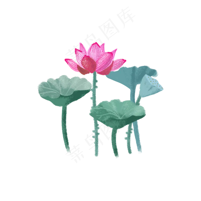 荷花荷叶莲蓬(2000X2000(DPI:300))psd模版下载