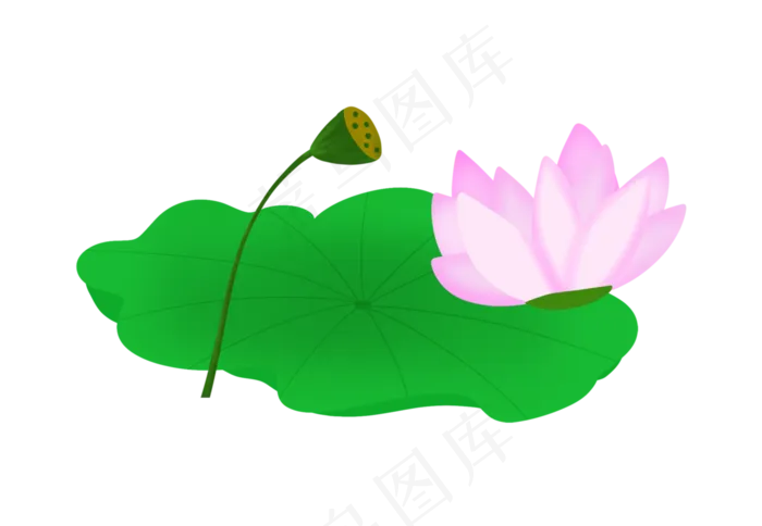 新鲜水植物荷花花苞(2895X2000(DPI:300))psd模版下载