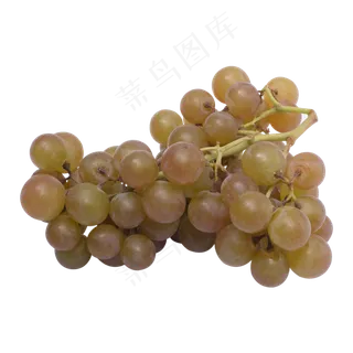 新鲜青葡萄,免抠元素