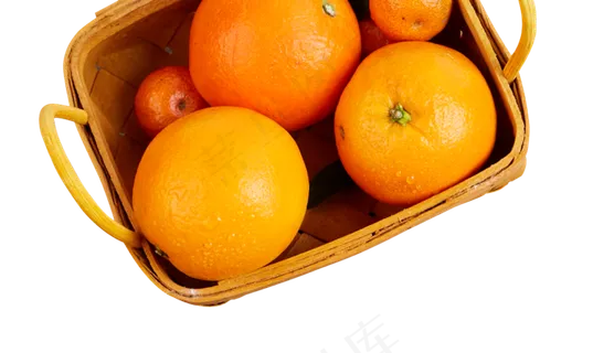 水果橙子 水果橙子