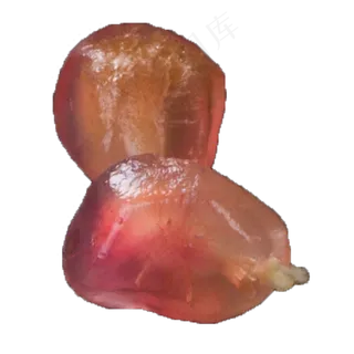 实拍石榴果实石榴籽