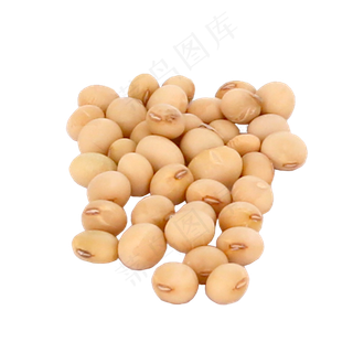 大豆黄豆,免抠元素