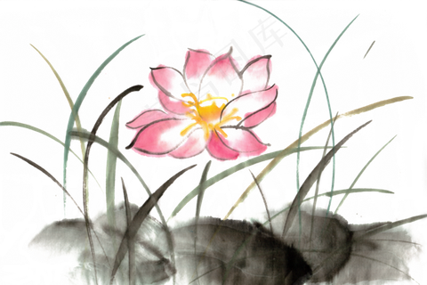 莲花盛开水墨画PNG免抠素材
