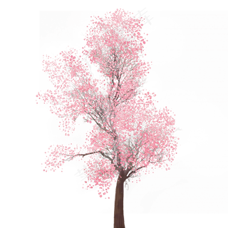 粉红色水彩树免费下载,免抠元素