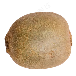 一个水果猕猴桃