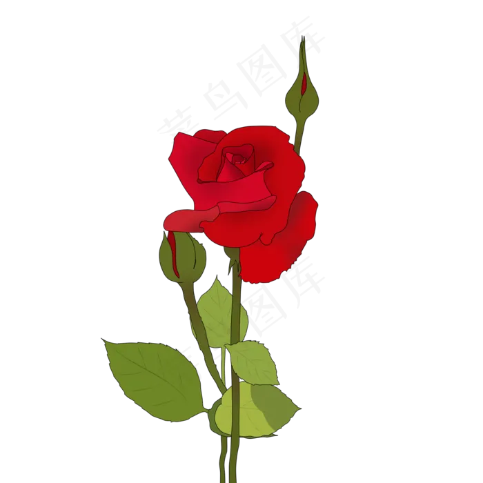 花朵花卉植物生长自然红玫瑰(2000X2000(DPI:300))psd模版下载