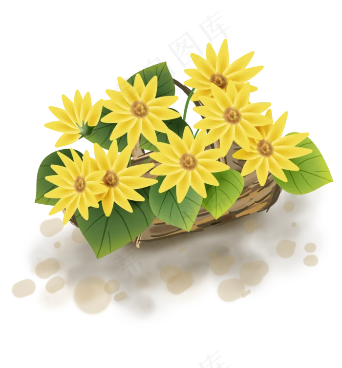 夏季向日葵植物