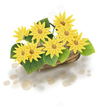 夏季向日葵植物