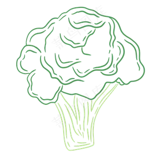 线条场景夏天水果蔬菜西兰花