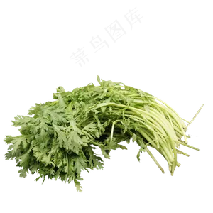 一把新鲜翠绿的茼蒿菜,免抠元素