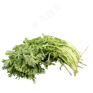 一把新鲜翠绿的茼蒿菜,免抠元素