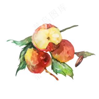 夏日水果荔枝妃子笑PNG甜美