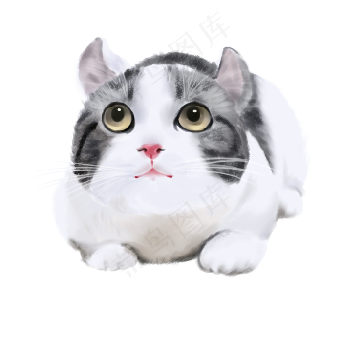 动物系列宠物猫咪免费下载,免抠元素(2000*2000px 300 dpi )psd模版下载