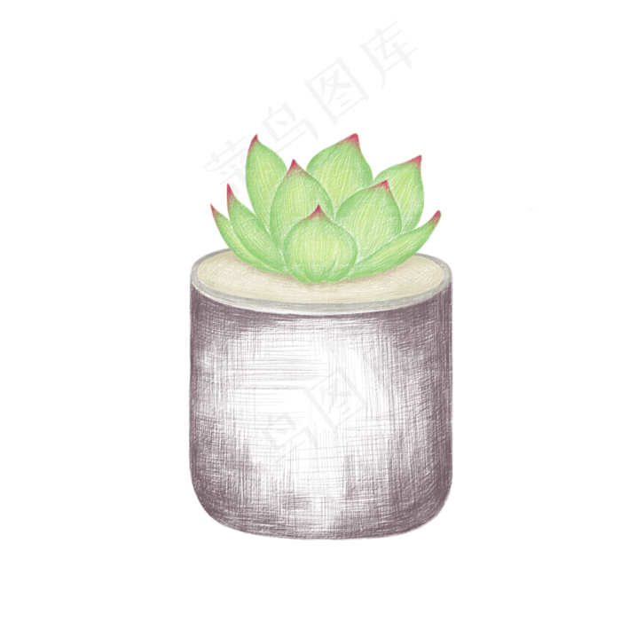 小清新免抠多肉盆栽