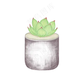 小清新免抠多肉盆栽