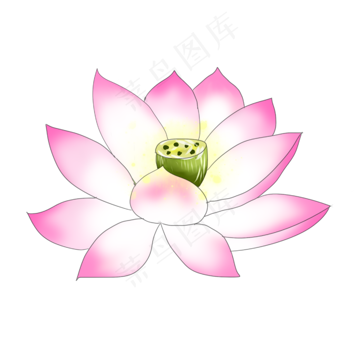 荷花开手绘装饰图案(3000X3000(DPI:299))psd模版下载