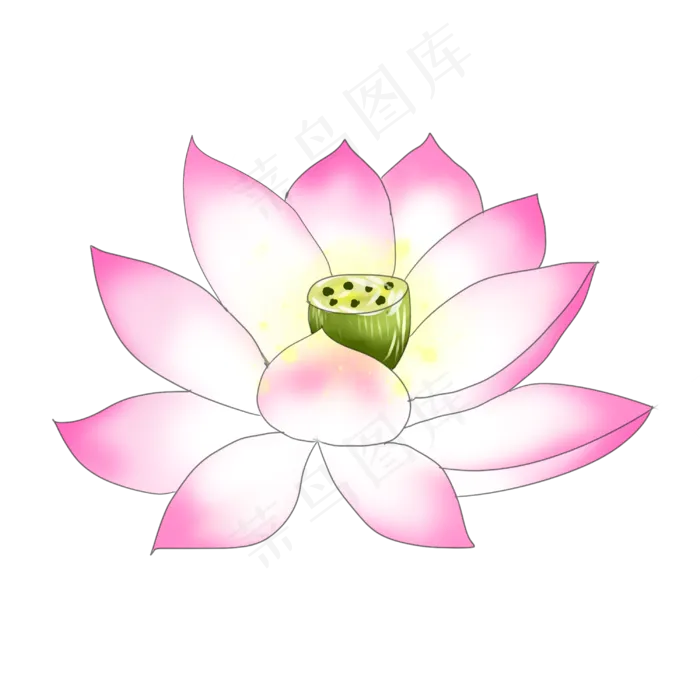 荷花开手绘装饰图案(3000X3000(DPI:299))psd模版下载