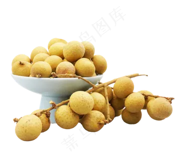 新鲜桂圆水果龙眼