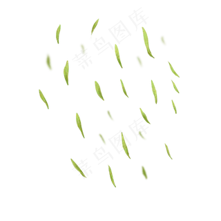 漂浮绿色柳树柳叶