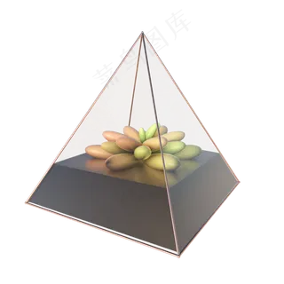 C4D立体几何玻璃花房多肉,免抠元素