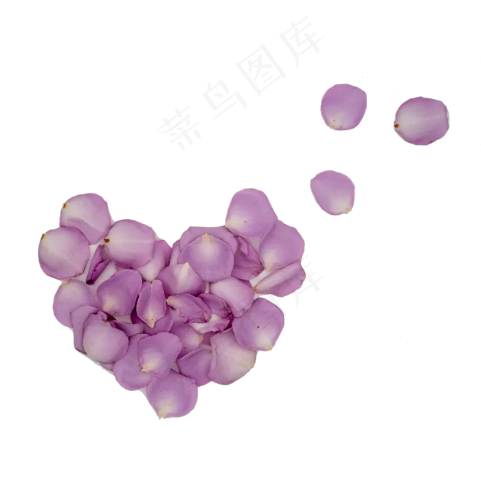紫色玫瑰花瓣桃心(2000*2000px 300 dpi )