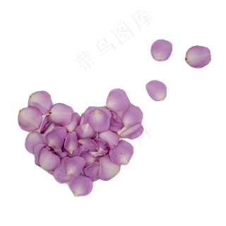 紫色玫瑰花瓣桃心