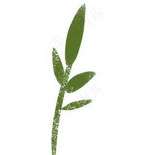 嫩芽春季自然植物