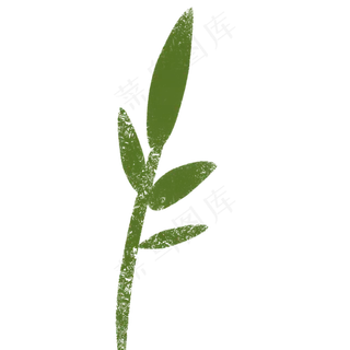 嫩芽春季自然植物