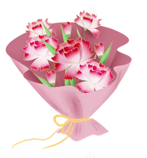 母亲节礼物粉色康乃馨花束