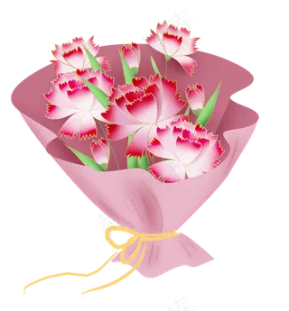 母亲节礼物粉色康乃馨花束