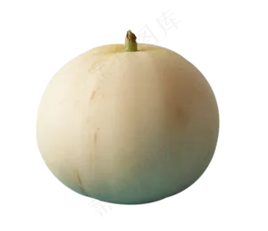 香瓜水果