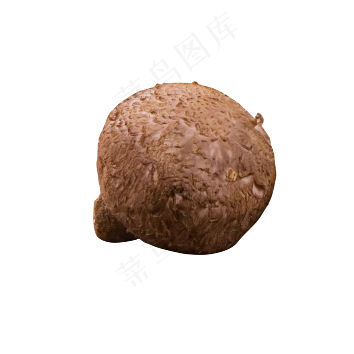 灰色创意真实蘑菇食物元素(2000X2000(DPI:300))psd模版下载