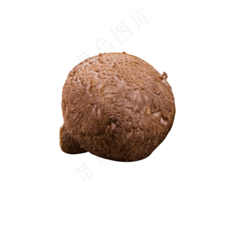 灰色创意真实蘑菇食物元素