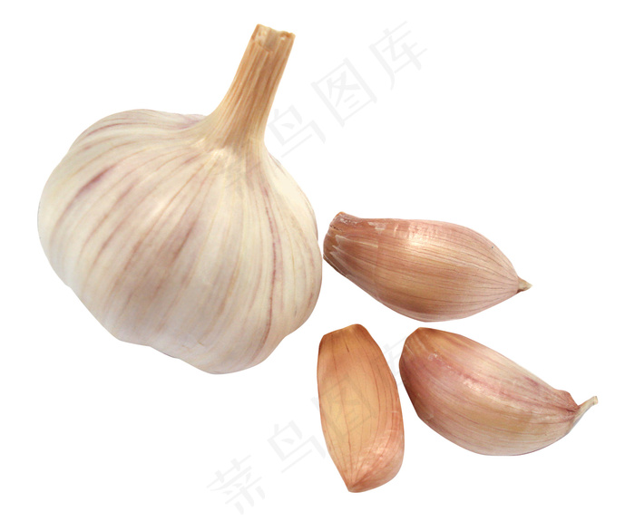 蒜 蒜头 大蒜psd模版下载