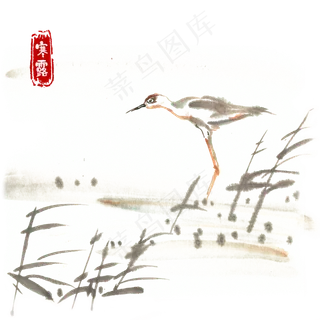 寒露独立寒江的水鸟