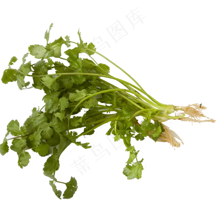 新鲜的蔬菜佐料免抠图(2000X2000(DPI:300))psd模版下载